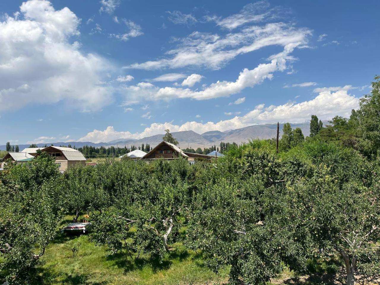 "Bilim" Guest House Тамчи Экстерьер фото