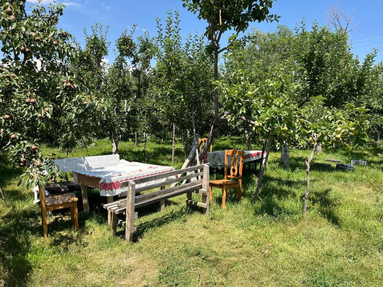 "Bilim" Guest House Тамчи Экстерьер фото