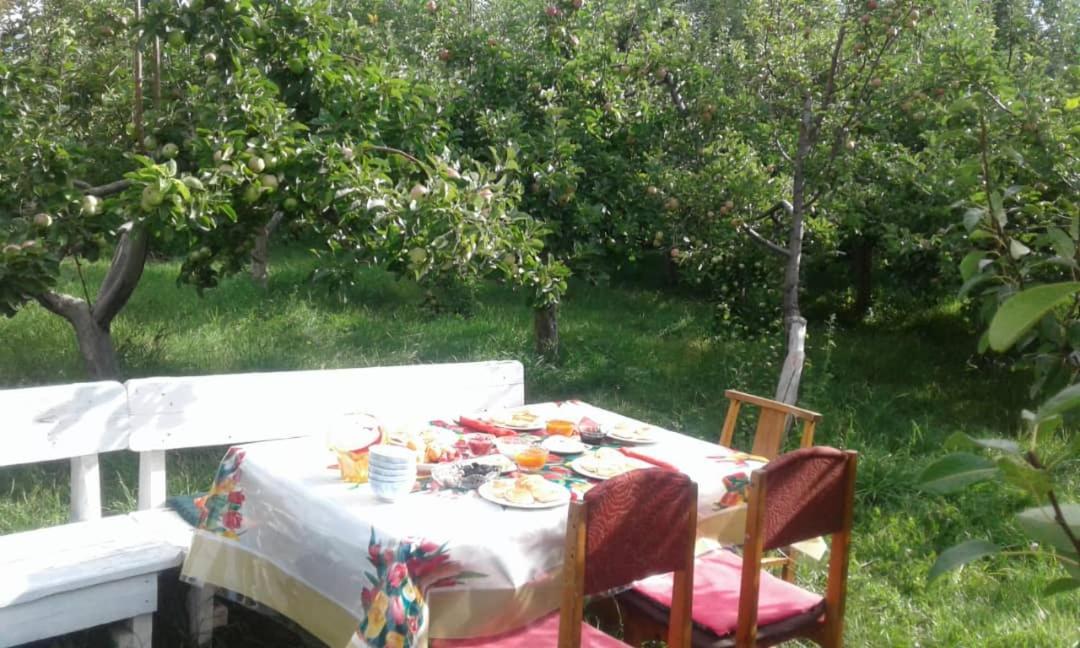 "Bilim" Guest House Тамчи Экстерьер фото